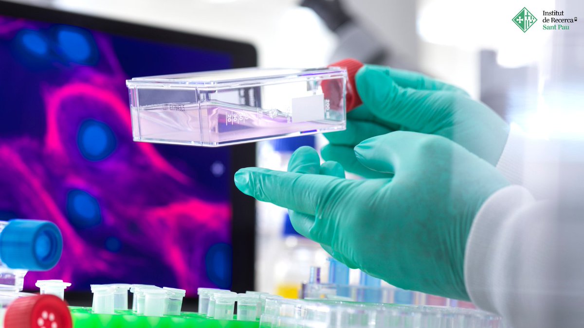 IRSantPau's tweet photo. No és tan inusual patir una malaltia rara📊

🌎El proper dimecres 15 de gener a les 18 h, l’Àngel Mora, investigador predoctoral del grup de recerca en síndromes de reparació del DNA i predisposició al càncer de l’IR #SantPau, farà una xerrada al Centre Cívic Guinardó precisament sobre aquestes malalties, ja que volem donar visibilitat a una realitat que afecta uns tres milions de persones a Espanya i explicar, també, com contribuïm des del nostre Institut a investigar-les.

❗️Recorda:
🗓️Dimecres, 15 de gener
⏰18h
📍Centre Cívic Guinardó
✍🏾Inscriu-t'hi aquí!
https://t.co/UnitmyAZOn

T’hi esperem!

#JuntsFemRecerca #divulgació #scicomm
