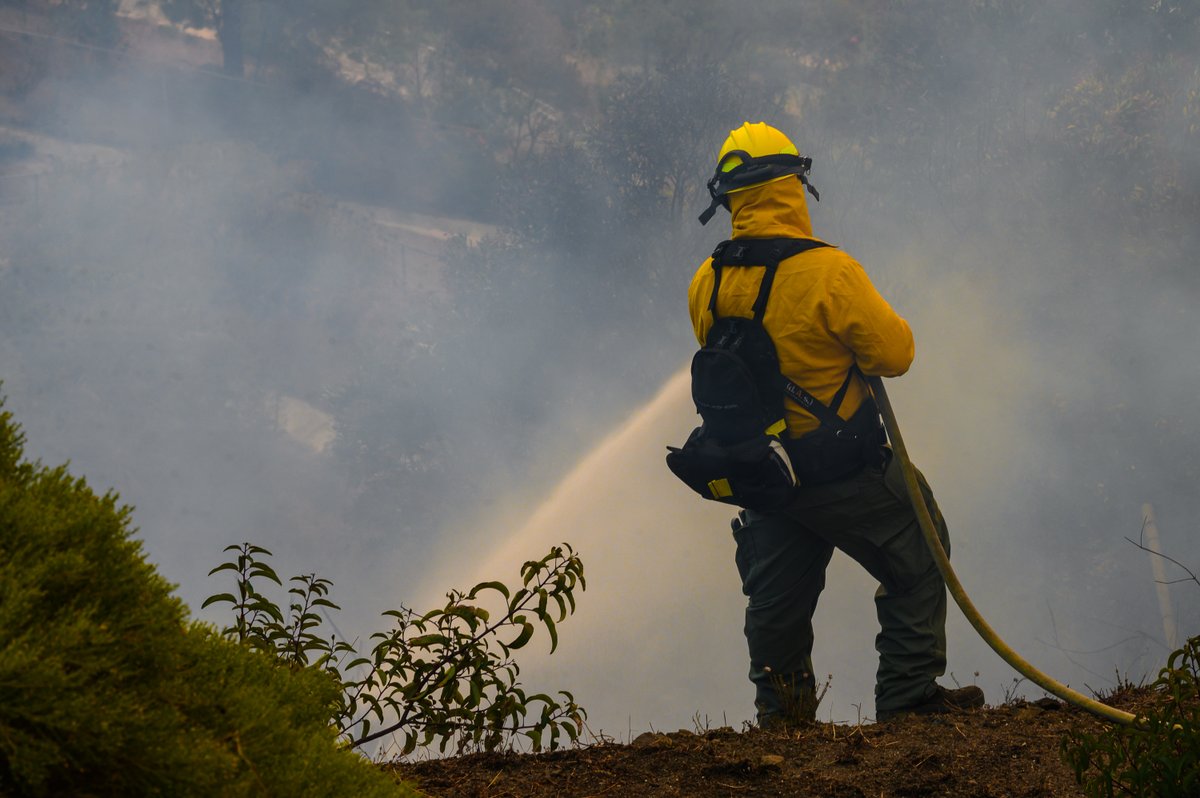 tunapala's tweet photo. Pacific Palisades fire 01/11/25 #LAFirestorm2025 https://t.co/ZvZVEIb29E