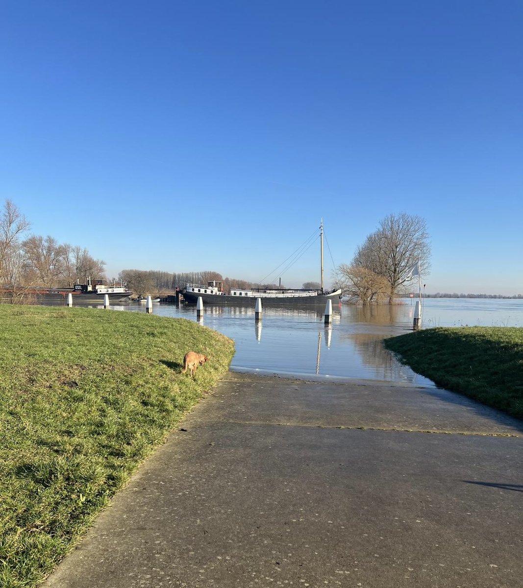 Wijk aan zee 🌊

(Foto van een inwoner)