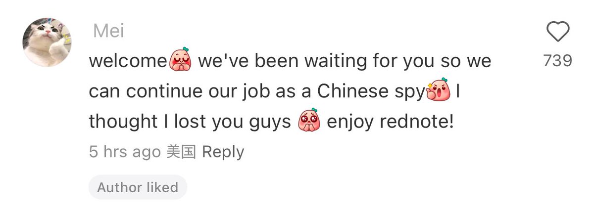 american tiktok users installing a chinese app (rednote) directly on their phone bc of the tiktok ban is hilarious