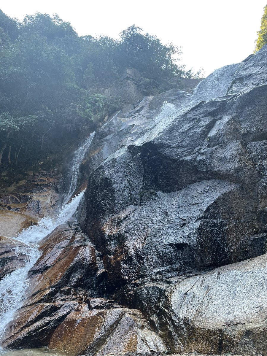 genkidesukaaa12's tweet image. 今日はゲッターズ飯田さんが西日本で今年ベスト3に挙げられていた大頭神社へ嫁と参拝に。
中学生まで水遊びに行ってた懐かしい場所。

家族の健康をお祈りしました🙏
が、東京マラソンのお祈りは忘れましたw

帰りに気になっていた話題のパン屋さんへ。
ハード系のパンが美味い🍞

#ランニング
#pois