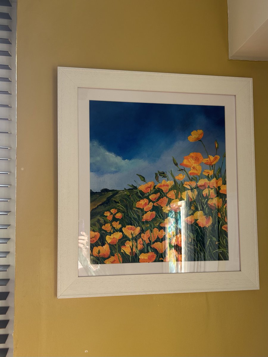 Life: Full Colour 🏴🇦🇺 tweet media