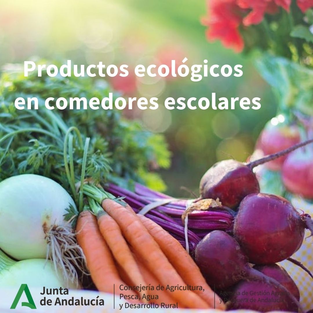 AgapaAndalucia's tweet image. 🥬🍅Los comedores escolares andaluces servirán este curso más de 5,6 millones de kilos de productos ecológicos.

 ✅ Fruto de la colaboración entre @agriculturaand y @educaand a través de #AGAPA y #APAE. 

📎lajunta.es/5b6zg