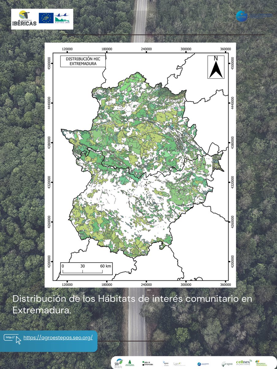 En Extremadura hay 4⃣1⃣ Hábitats de Interés Comunitarios (HIC) diferentes, ocupando➕ de la mitad de su superficie🌿🌱
🏞️Seguro q los has disfrutado sin saber q era un HIC😊:Dehesas perennifolias (6310), Bosques de castaño (9260) o Bosques de ribera de alisos y fresnos (91E0*)...