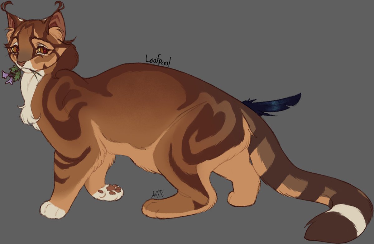 _noytc's tweet image. updated Leafpool design &amp;lt;3

#warriorcats
