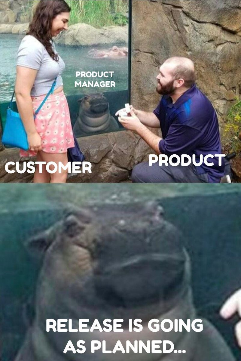 Shieldeum VPN tweet media