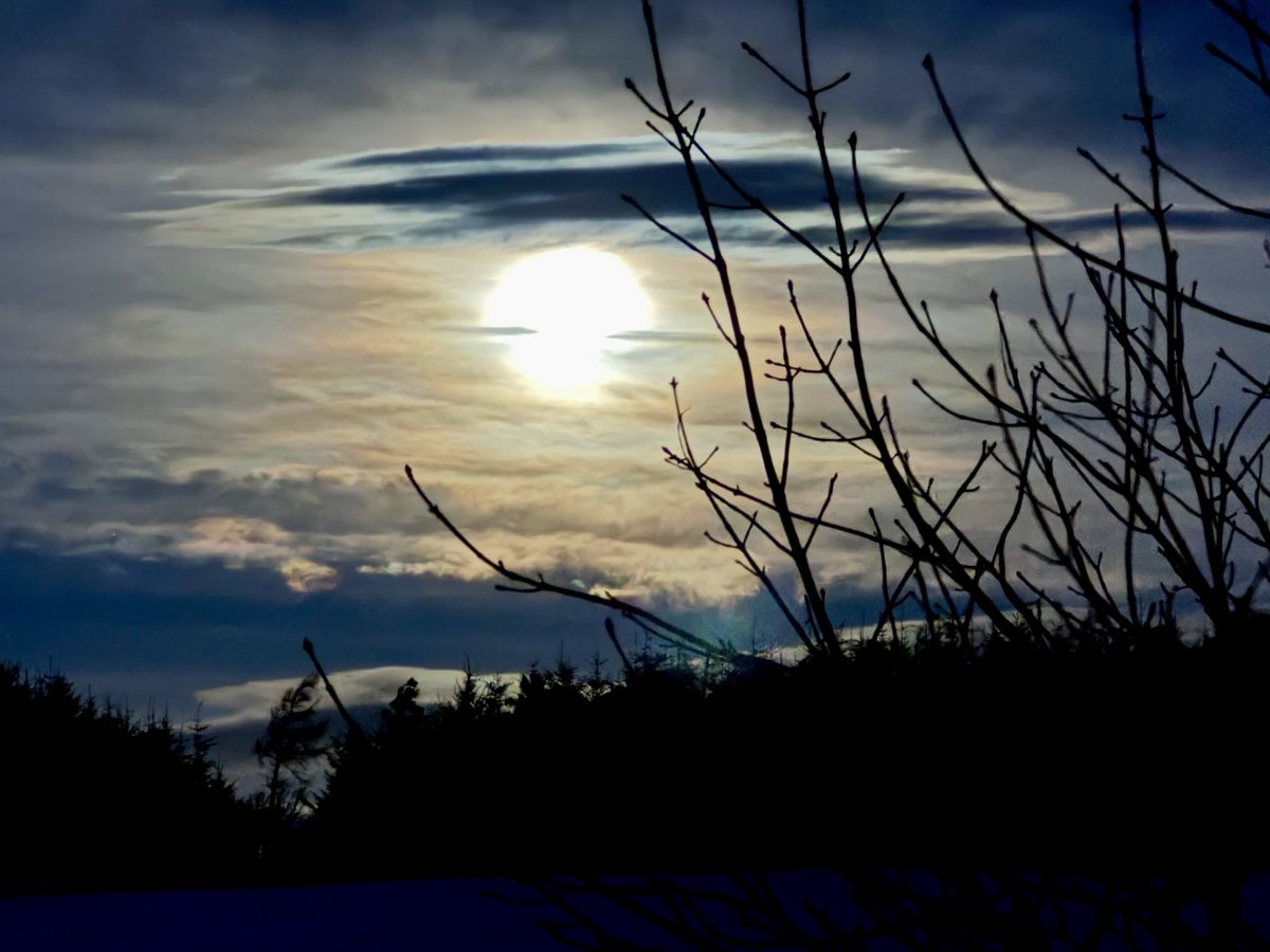 Moon setting at dawn this morning 🌛🌅🖤💛