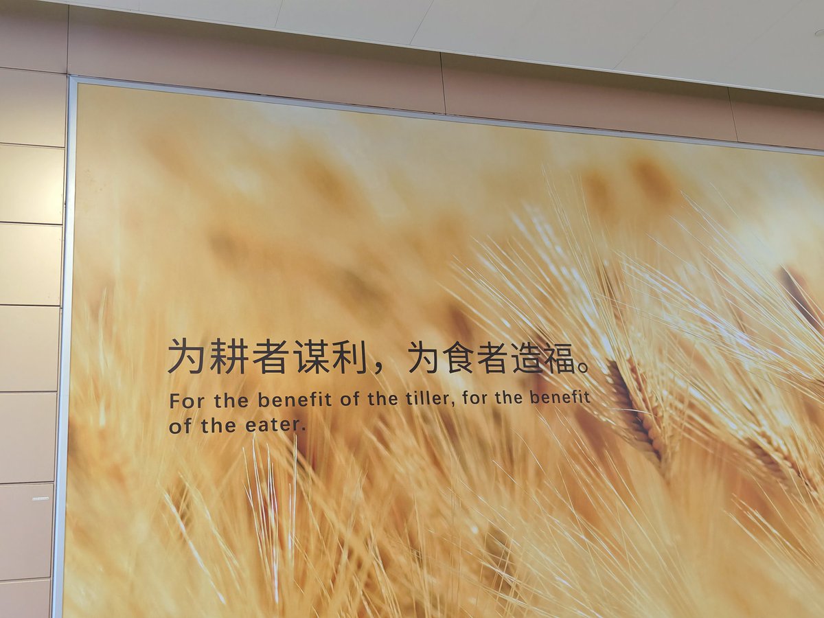 xujingqiu2's tweet photo. https://t.co/7eOsdmWcyV