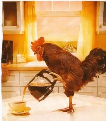 Up And At It Early Bird 
Good Monday Morning Sunshine 
Now Go Out A Seize The Day 
Carpe Diem, Quam Minimum Credula Postero, which is often translated as "Seize the day, put very little trust in tomorrow (the future)".