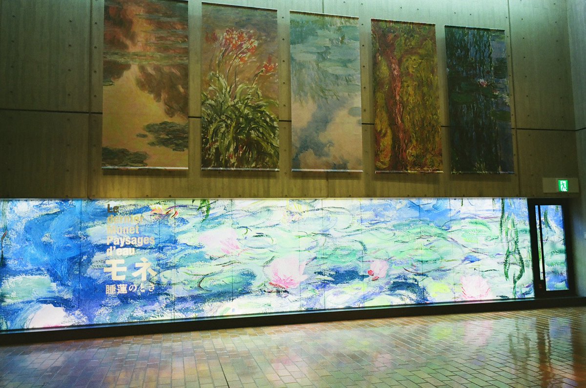 ちょこ🍫 tweet media