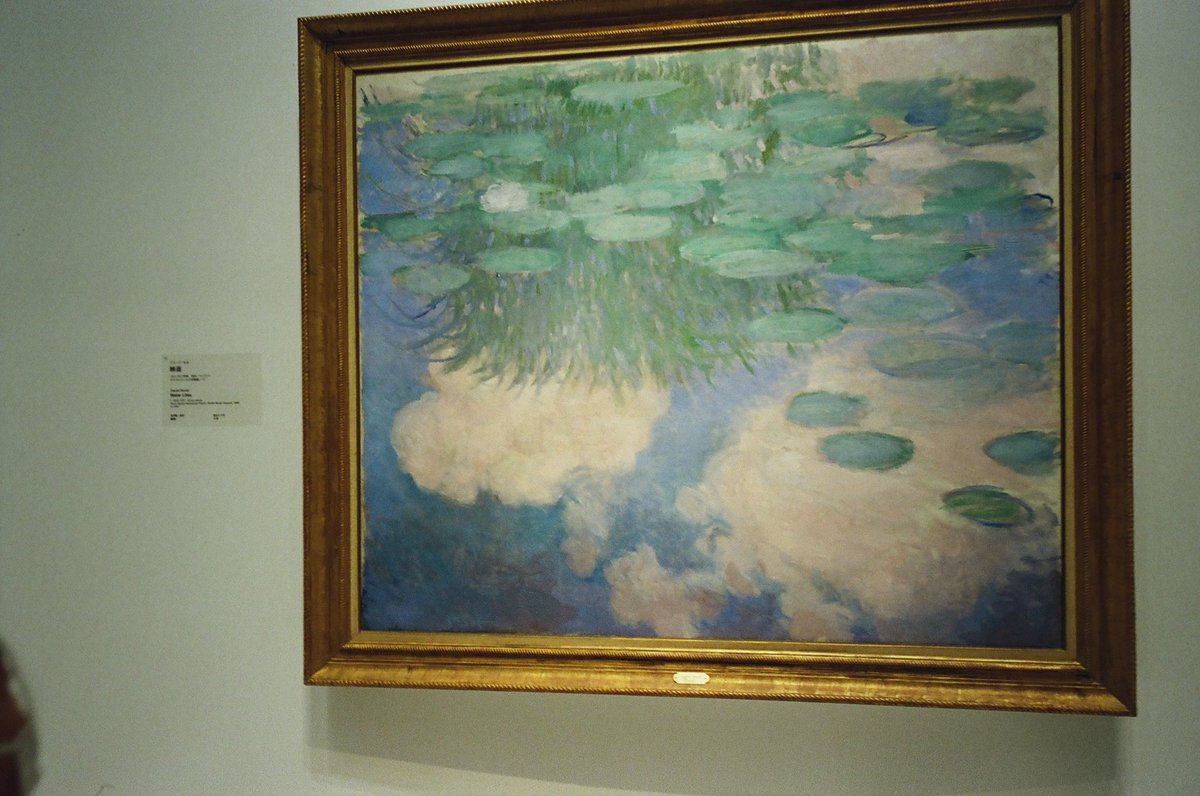 ちょこ🍫 tweet media