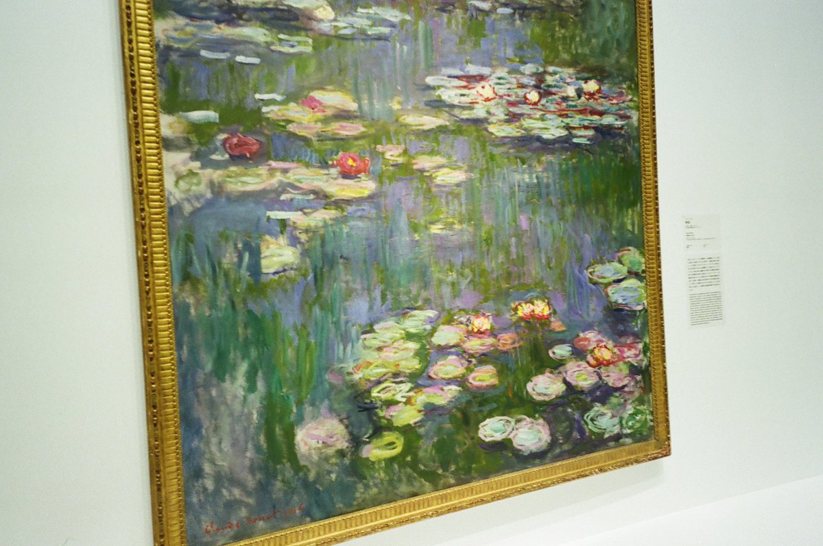 ちょこ🍫 tweet media