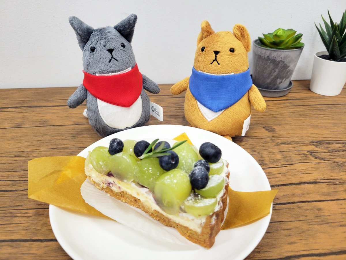 sunpro_info's tweet photo. ○本日は満誕生日③○
誠「ついでにほら、酒買ってきた。祝酒ってやつだ。おめでとう」
満「ありがと♪手に持ってるのはただの缶酎ハイに見えるけどねー。相方の誕生日なら高級ワインの1本くらい持ってきたらどうかな！？このクソクソハイパーセレブお坊ちゃんが！」
誠「口が悪いな…。金持ちアレルギー出てんぞ」
満「うるせーー！！！」

＜プシュ
＜グビグビ

誠「って文句言いながら飲んでるじゃねーか…」
満「よし！写真を撮るぞ！！」
誠「切り替えの早い奴だな」
#菱田満生誕祭2025