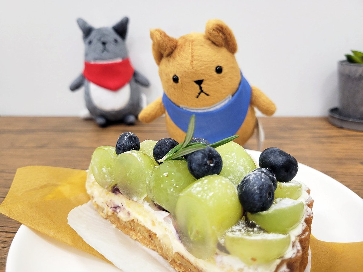 sunpro_info's tweet photo. ○本日は満誕生日②○
誠「お邪魔します」
満「どういう風の吹き回し？誠、何か変なもんでも食べた？」
誠「酷え言いようだな。敢えて言うなら俺の誕生日にお前が押しかけてきたから、その仕返しってところだ」
満「まさか誠がこんなサプライズをする人間だったなんて…長い付き合いしてみるもんだね。まぁ、写真撮らなきゃなーとは思ってたからありがたくはある」
誠「ビジネスパートナーとの仲良しアピールのために、クッソ寒い中デパ地下行って、しっかりメンカラ意識したケーキ買って、わざわざこうして足を運んでやったんだ。少しは喜べ」
満「むぅ…その言葉、まさか自分に刺さるとは…」
#菱田満生誕祭2025