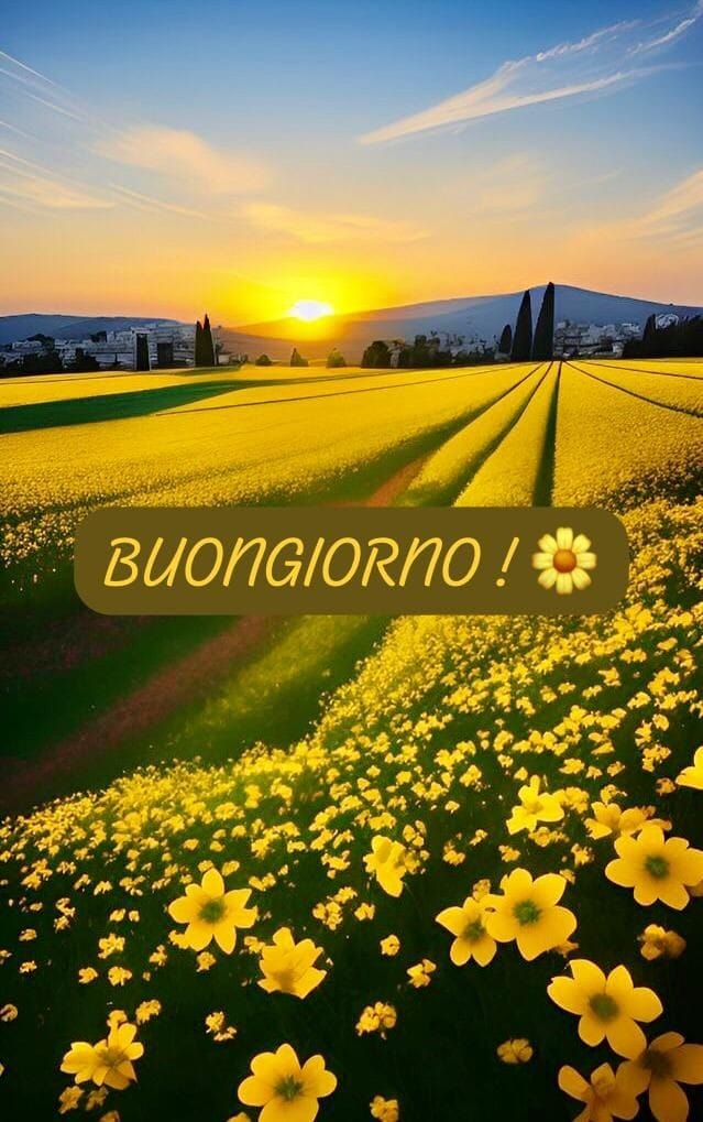 Marianna tweet media