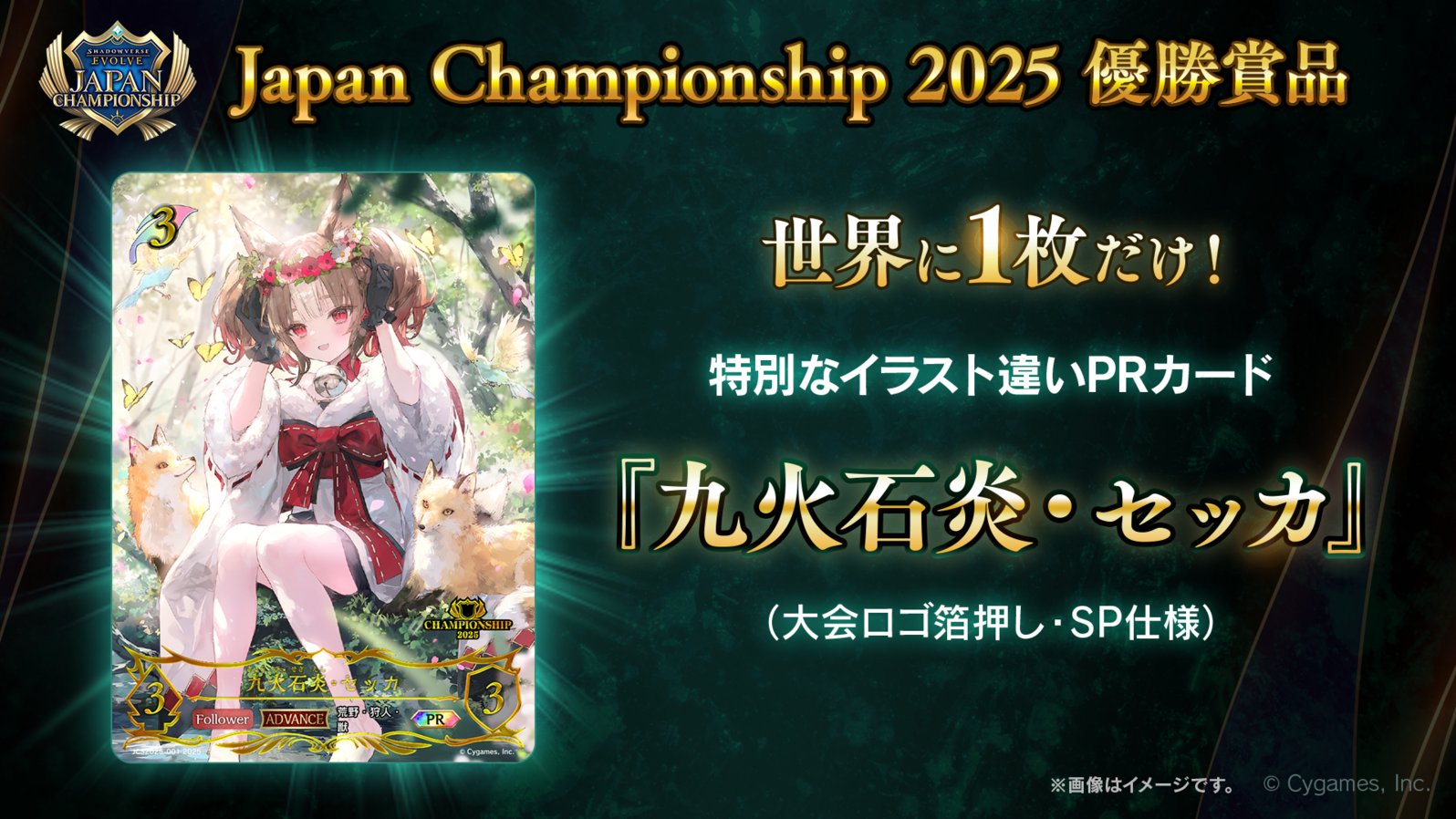Shadowverse EVOLVE公式アカウント on X: 