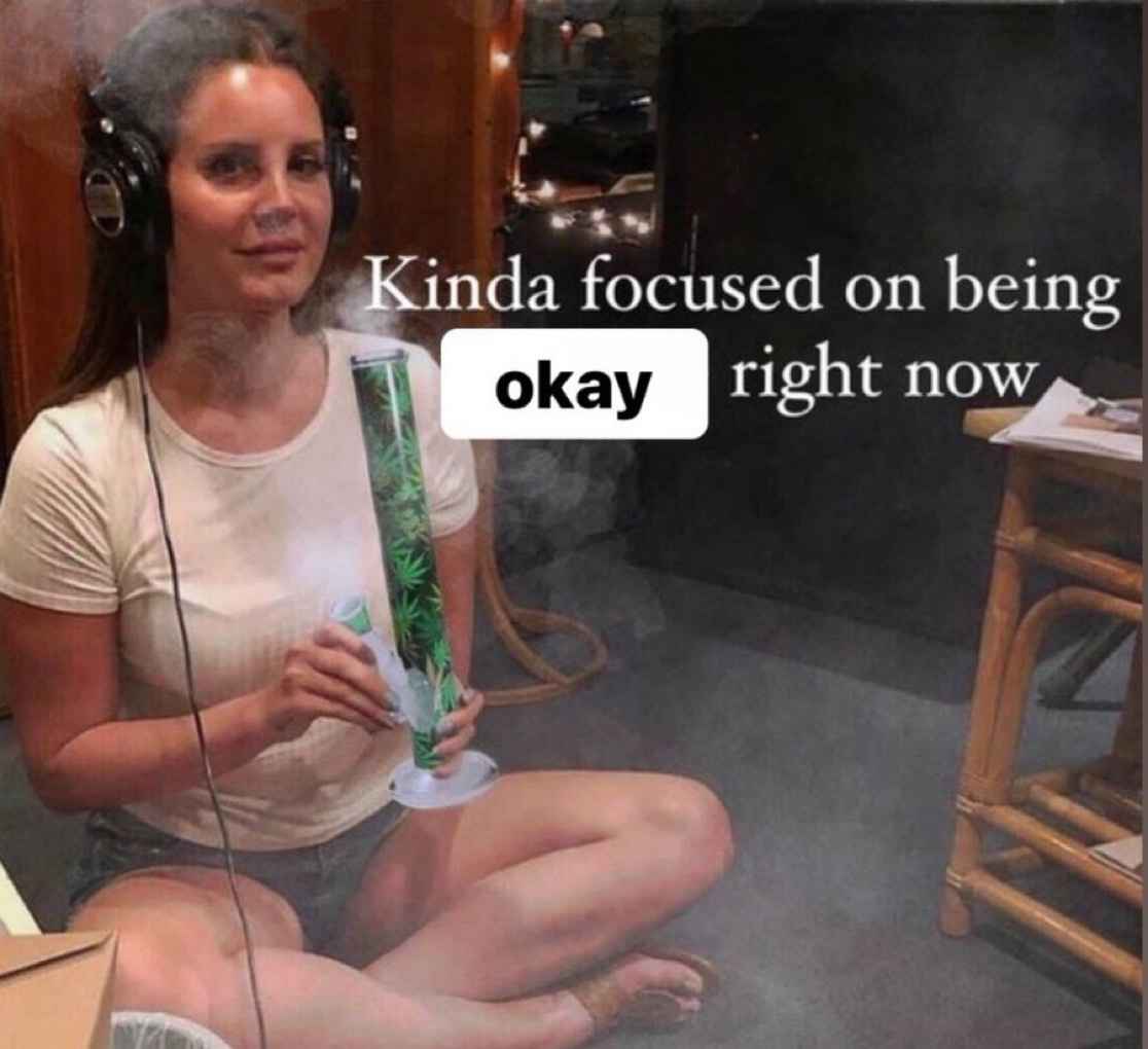 ᯓ★ ┊ 𝗠.𝗥. (@gentiesciences) on Twitter photo 