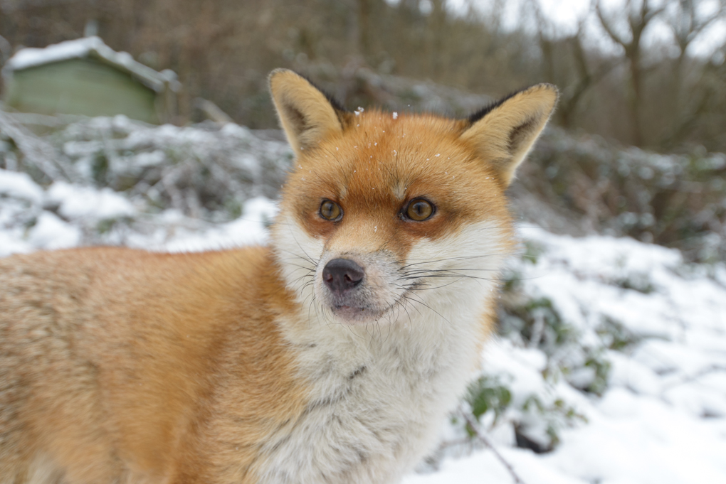 Richard Bowler tweet media