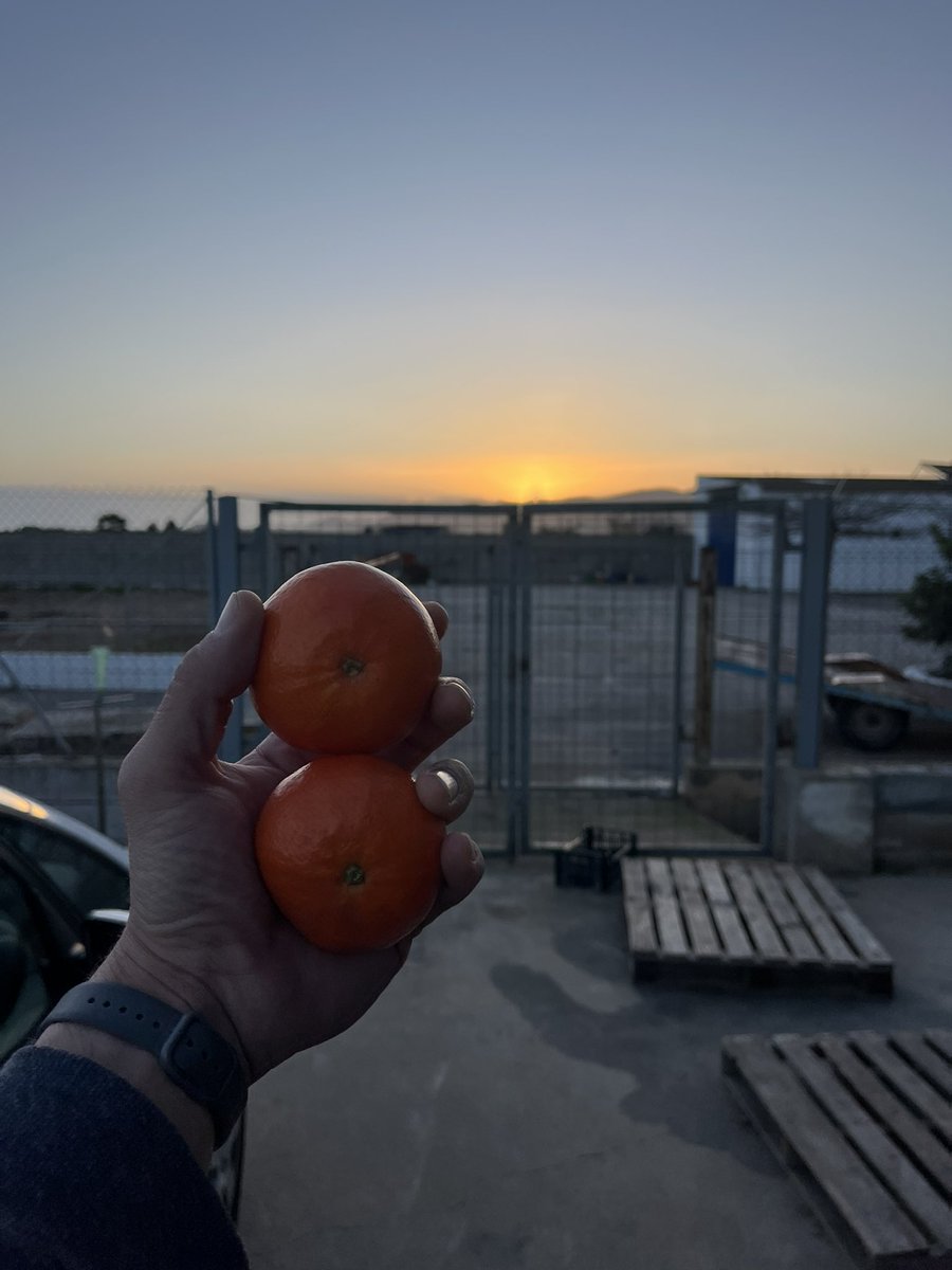 Nando Durà 🍊🍊 tweet media