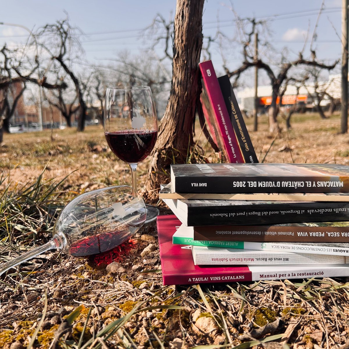 La cultura de vi arriba a les biblioteques del Bages durant el mes de gener 📚🍷

#BibliotequesambDO arriba, com cada mes de gener, a la nostra Denominació d'Origen i volta pel territori català durant tot l'any

Consulta tota la planificació d'activitats culturals relacionades