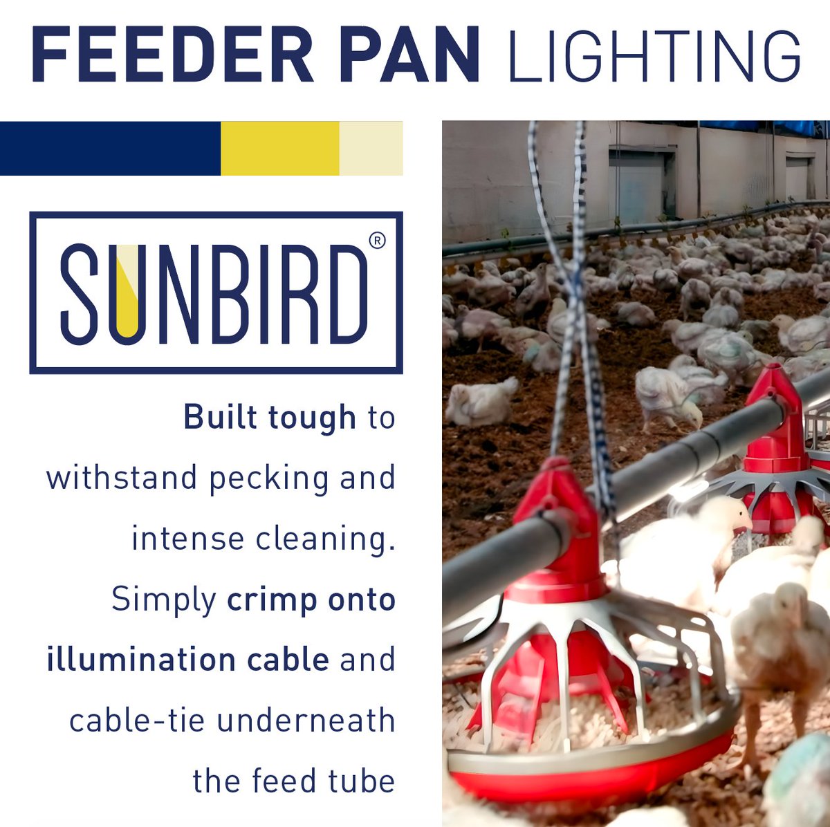 SunbirdLighting's tweet image. Durable, dependable, and easy to install. Feeder pan lighting that stands up to intense cleaning and constant wear, all while providing perfect illumination for your flocks.

#FarmLighting #BuiltTough #PoultrySolutions #Sunbird