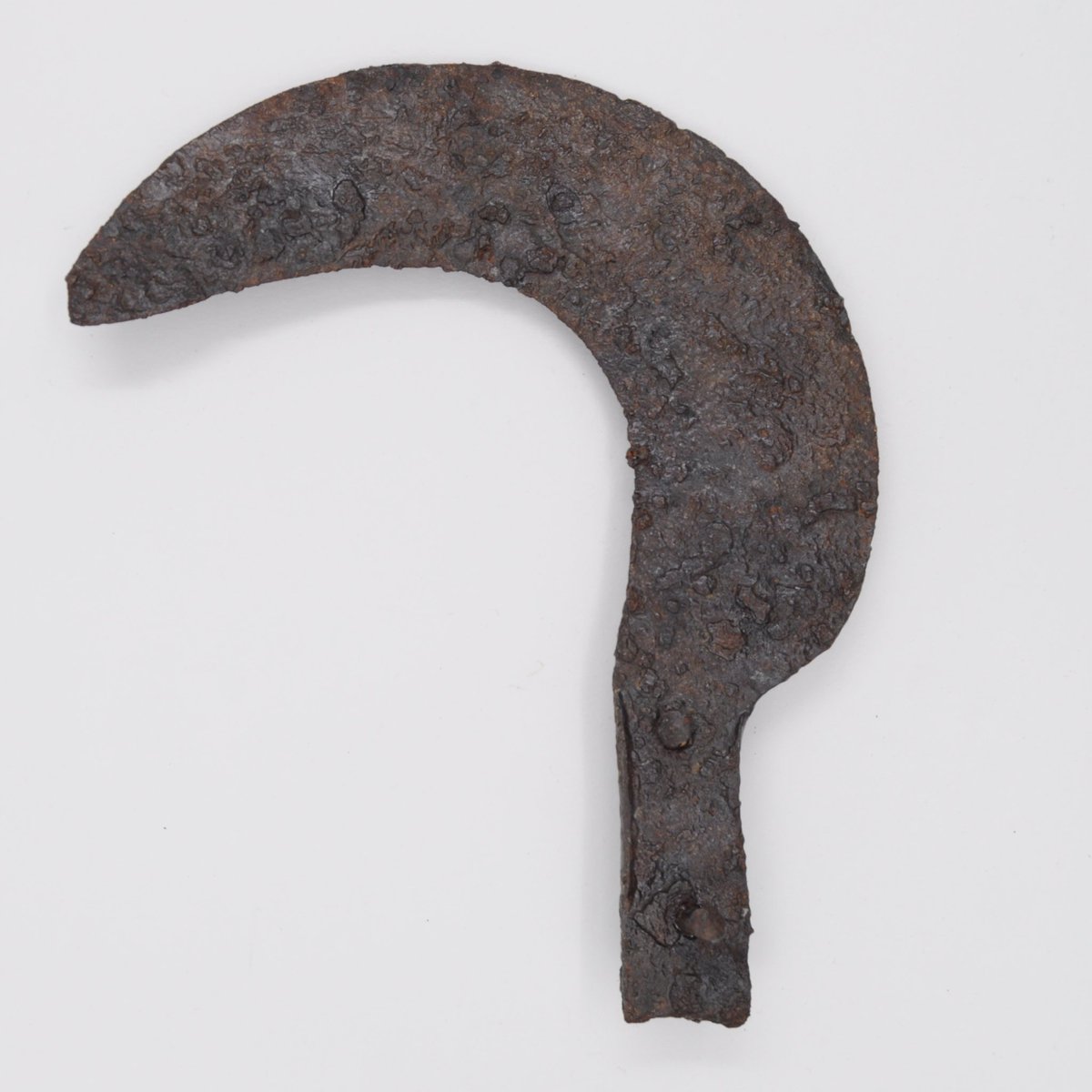 muprevalencia's tweet image. 🚚 🏺 Recentment, algunes peces de les nostres col·leccions deixaven la seua ubicació a les nostres sales de #CulturaIbèrica i #Visigots per a viatjar al @marqalicante i formar part de la seua nova expo  ✨ #CiudadesDeLuz

Encantades de col·laborar en esta interessant mostra 🙌🏼