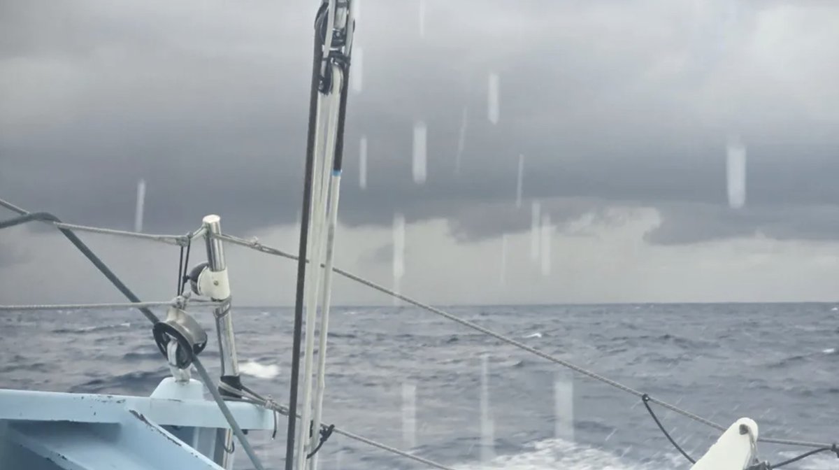 🇬🇧 Vendée Globe tweet media