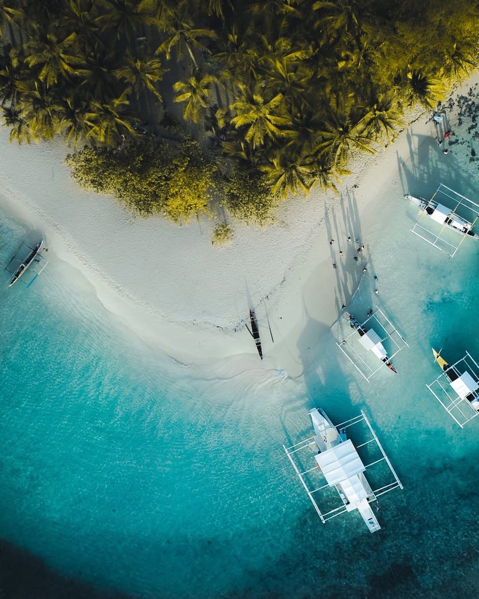 vacationsbuddy's tweet photo. Discover the Top Islands in the Philippines! 🌴

With over 7,000 islands, this tropical paradise has something for everyone:

 🏝️ Palawan
 🌊 Siargao
 🌟 Bohol
 🐠 Cebu

Which island will you explore first? 🏖️

#philippinestravel #islandparadise #visitpalawan #siargaosurfing https://t.co/Pu4gUo24Eu