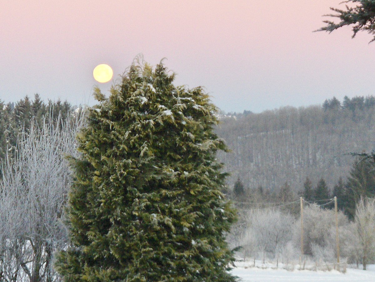 vermesserschink's tweet photo. .Winter: Der Mond über dem Nationalpark Eifel  (T=-10°C) https://t.co/fJn5qIIPpL