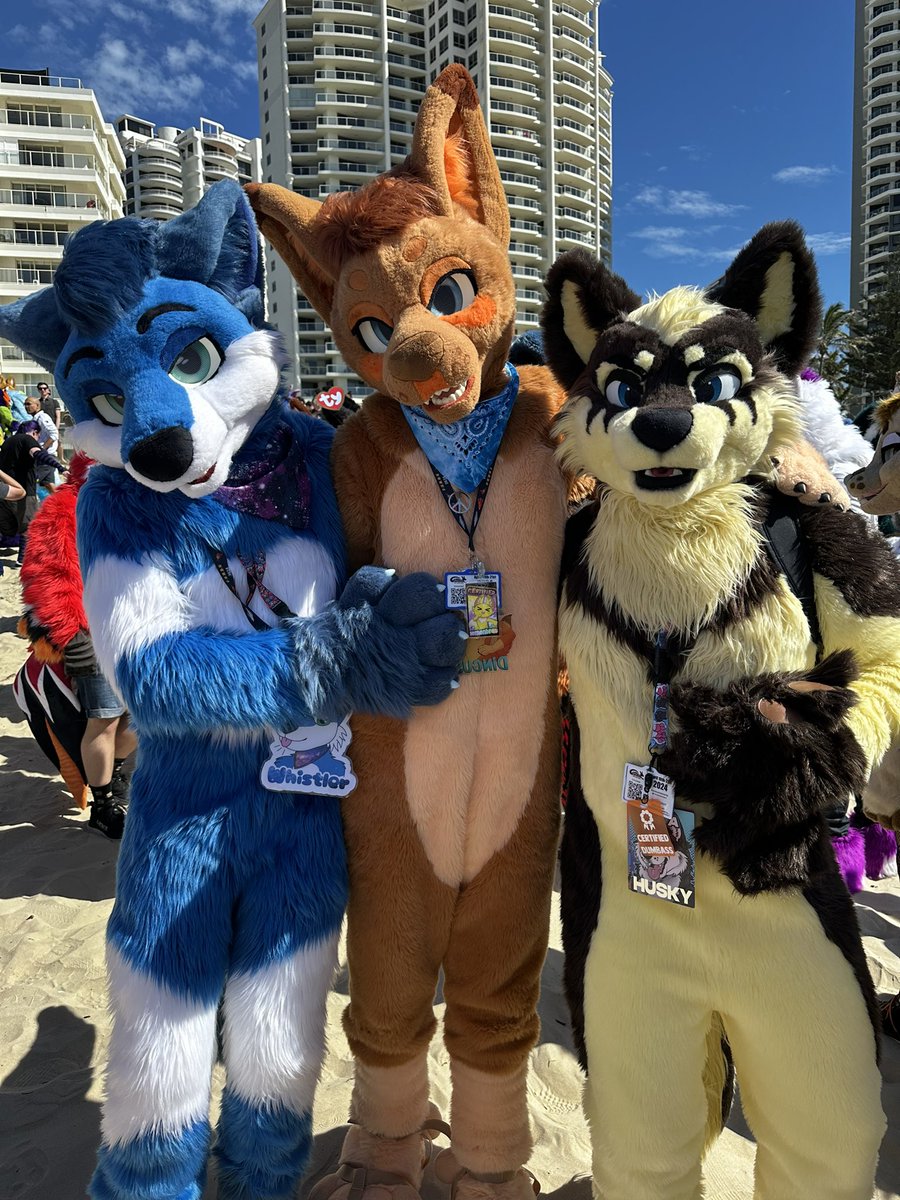 Jaron the Rock N Roll Shepsky ๐ฆ๐บ ๐ Aurawra 25 (@gangstaguru123) on Twitter photo Cute throwback to last years first walk at FurDU! Hanging with these very tall bois <a href="/BlueFoxWhistler/">โ๏ธWhistlerโ๏ธ ๐ Aurawra</a> and <a href="/DingusDingoAU/">Dingus โ๐ณ๏ธโ๐๐ชจ๐งฑ๐ฅ</a>
Excited to go back again in a few months ^.^
๐ธ: (Donโt remember, but it was taken on my phone)
โ๏ธ: <a href="/lemonbrat/">Lemonbrat@Furlandia!โ๐ปโ๐ผโ๐ฝโ๐พโ๐ฟ</a> <a href="/FursuitsByLacy/">Fursuits By Lacy</a>
#fursuit #furry #FurDU Cute throwback to last years first walk at FurDU! Hanging with these very tall bois <a href="/BlueFoxWhistler/">โ๏ธWhistlerโ๏ธ ๐ Aurawra</a> and <a href="/DingusDingoAU/">Dingus โ๐ณ๏ธโ๐๐ชจ๐งฑ๐ฅ</a>
Excited to go back again in a few months ^.^
๐ธ: (Donโt remember, but it was taken on my phone)
โ๏ธ: <a href="/lemonbrat/">Lemonbrat@Furlandia!โ๐ปโ๐ผโ๐ฝโ๐พโ๐ฟ</a> <a href="/FursuitsByLacy/">Fursuits By Lacy</a>
#fursuit #furry #FurDU