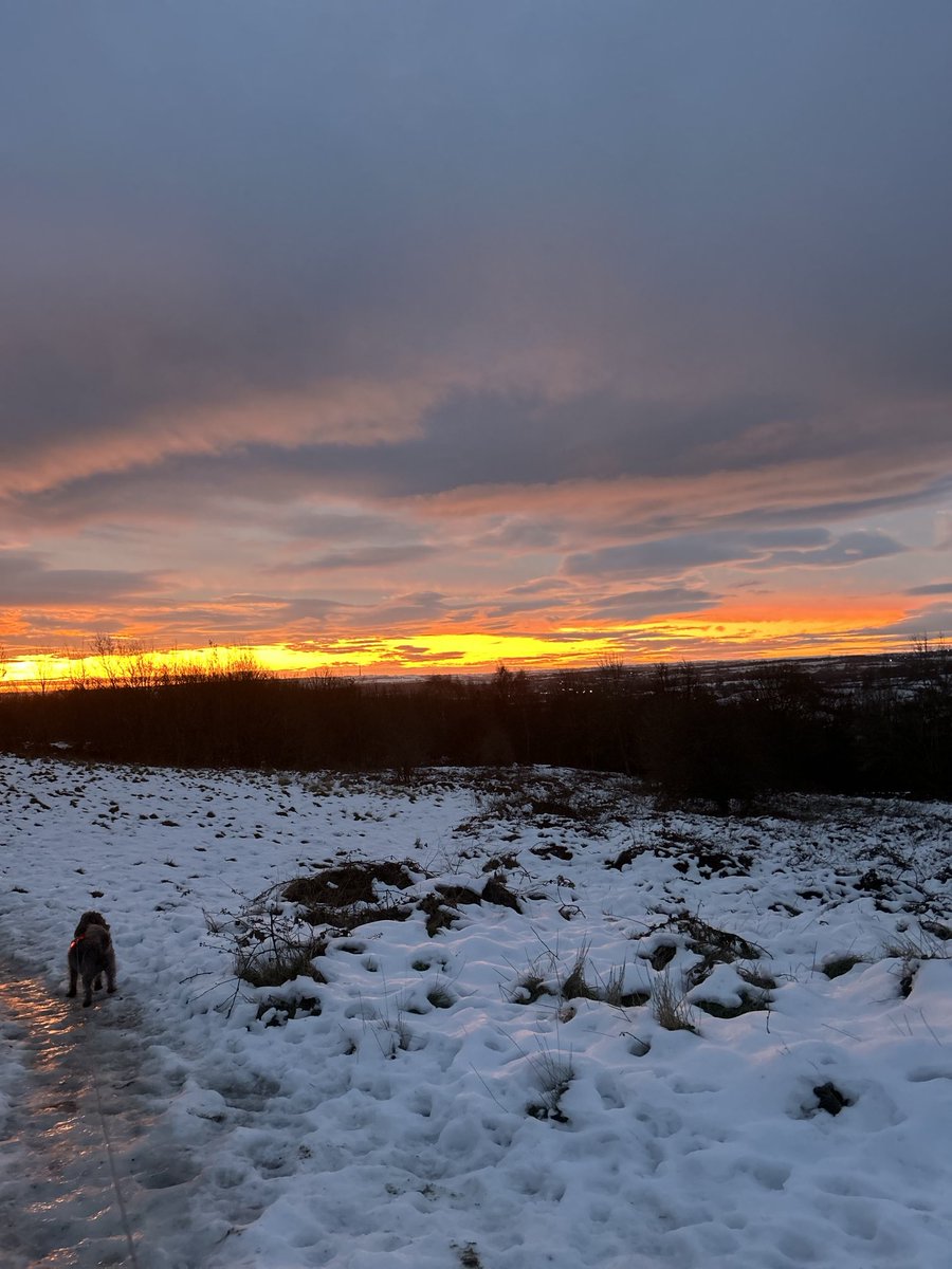 rodger389's tweet photo. ⁦@Hudsonweather⁩ Hipperholme, Halifax, this morning https://t.co/wFb035N7kW