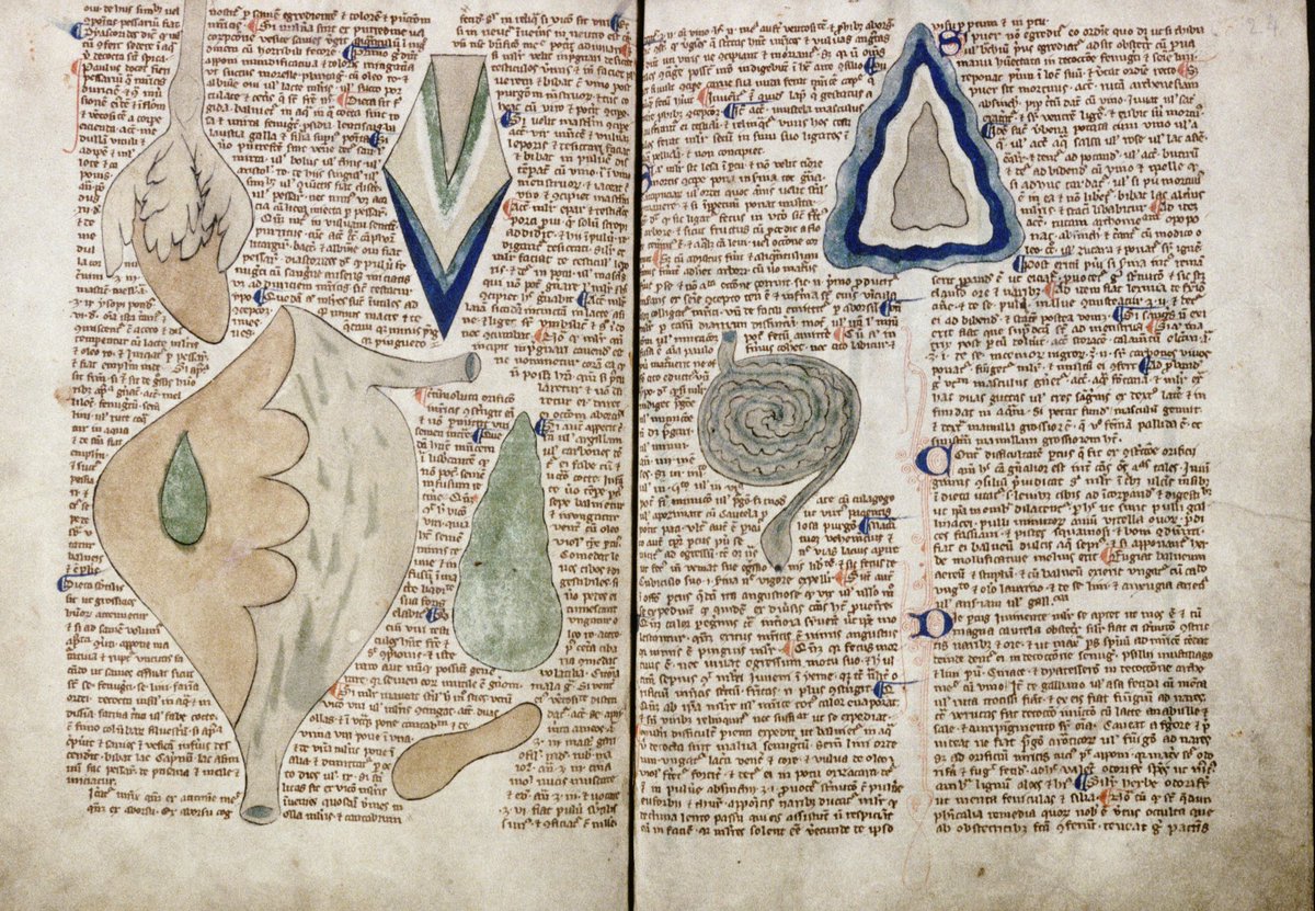 csmbr_pisa's tweet photo. History of Anatomy and Surgery Series 30:

Abdomen Internal Organs, England ca. 1298

From MS Ashmole 399, ff.23v-24r, Bodleian Library, Oxford.

#CSMBR #Anatomy #Medieval #Ashmole https://t.co/VekhDDUVHD