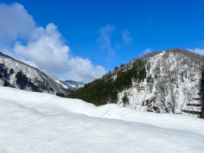 コスプレイヤーここねのTwitter画像10