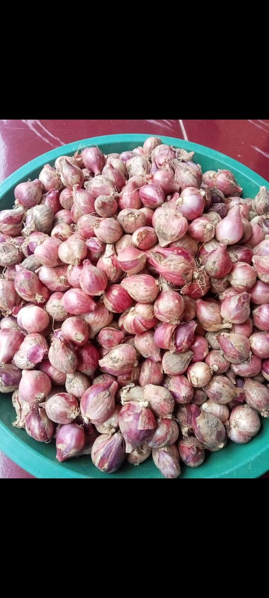 R_Ayu_DJ's tweet photo. Barangkali ada yang berminat bawang merah, kualitas bagus langsung dr petani, dom sidoarjo https://t.co/zYH7bAWukb