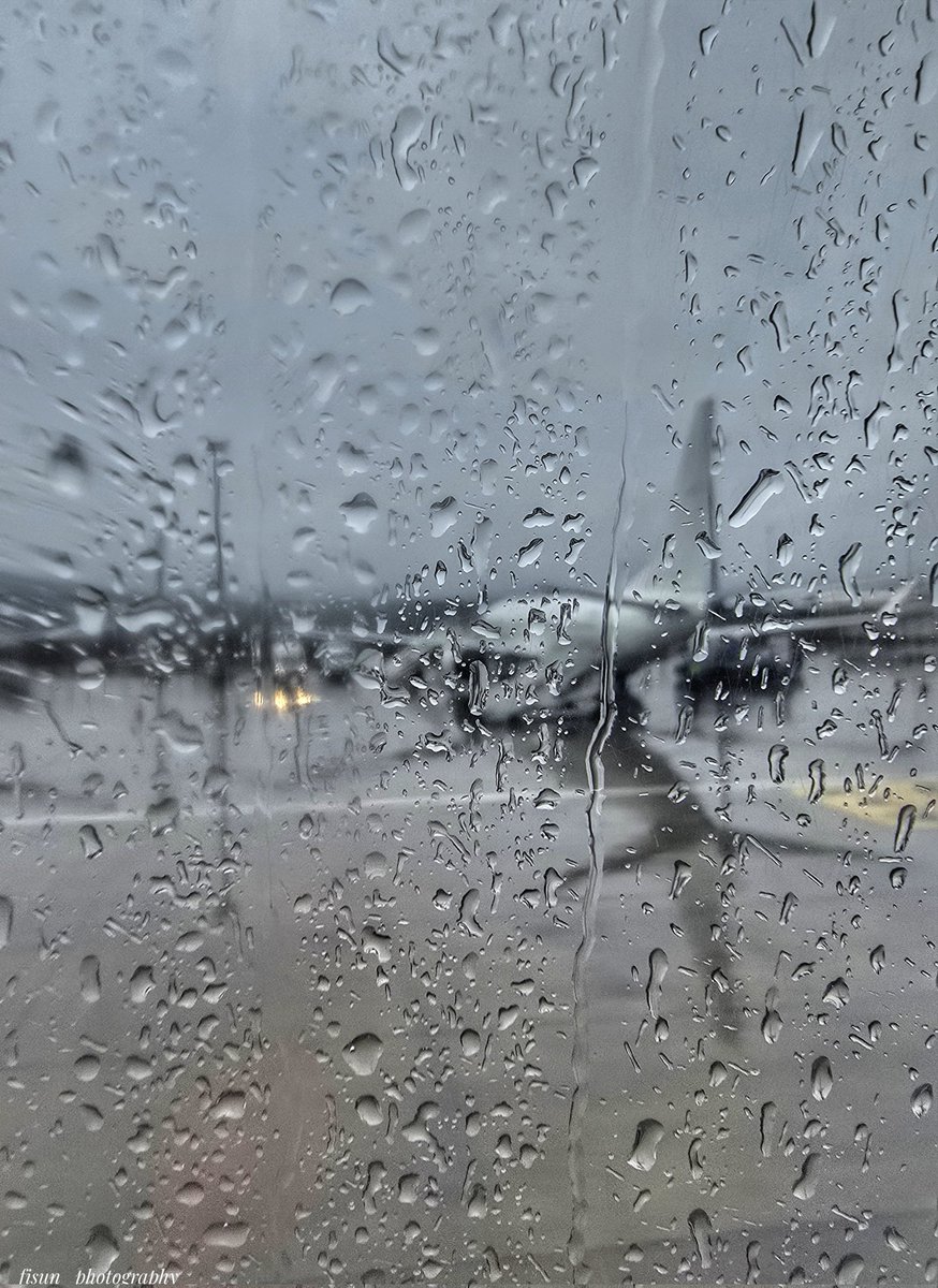 fisunphotograp1's tweet photo. #photo
#airport
#SabihaGökçenInternationalAirport
#Secondstop https://t.co/e9GwRzOZ0L