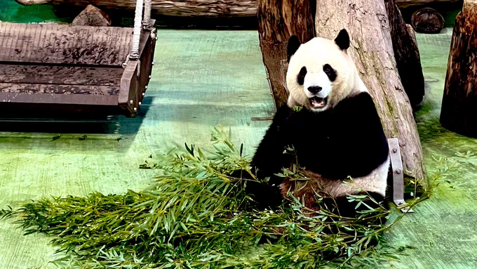 Zoo