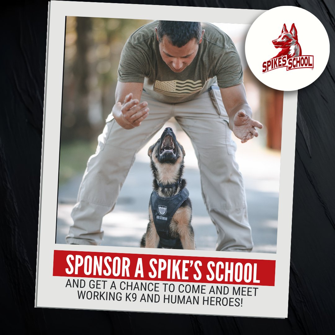 Spikesk9fund's tweet image. Whether in combat zones, high-risk law enforcement operations, or hazardous rescue missions, working dogs face life-threatening situations every day.

That’s why specialized training from the best instructors is so important – &amp;amp; why we created #SpikesSchool. 🚨🦮

When you…