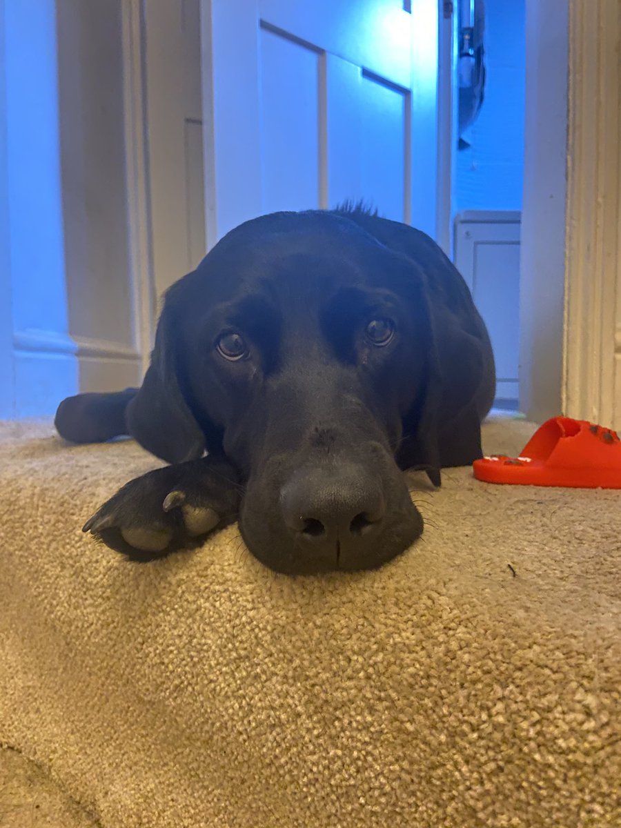 Tess Butler tweet media