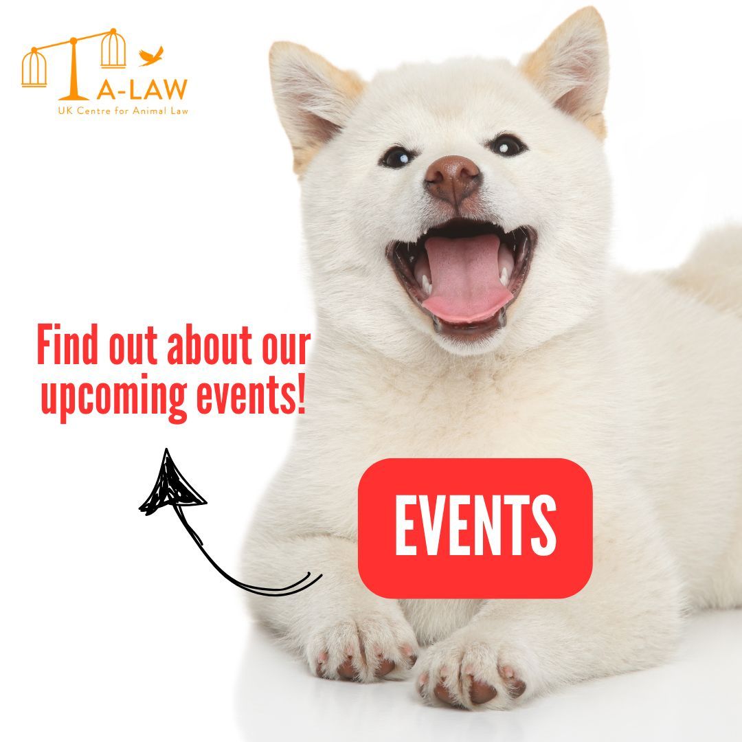 We have several upcoming exciting events for you to attend, including our January Legal Skills Lab! Find out about our events here: buff.ly/3JxU9yb