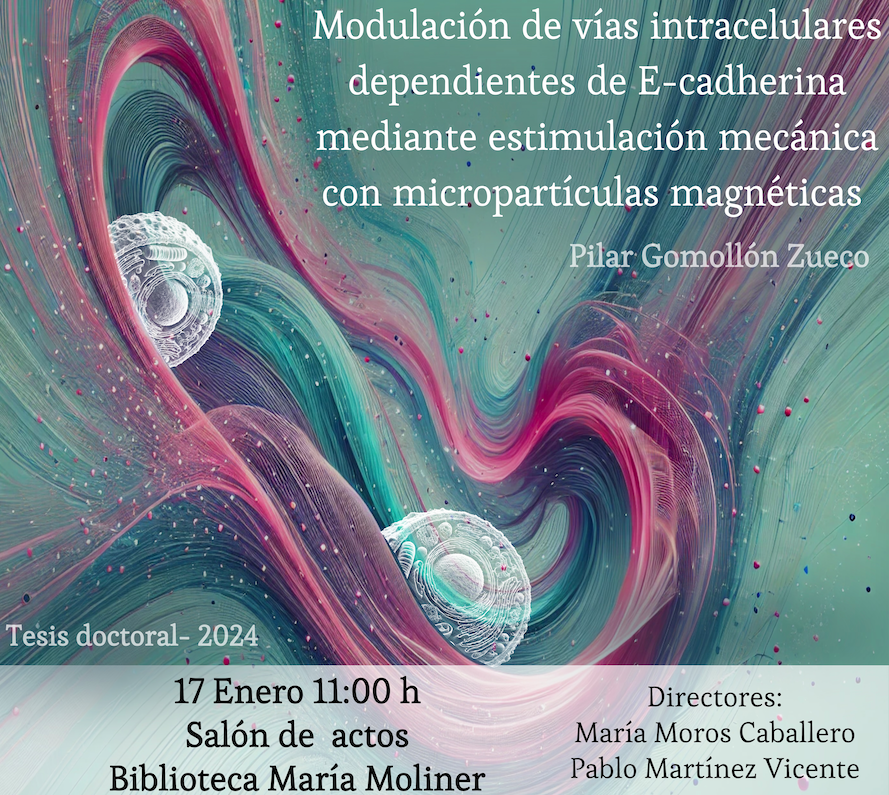 INMAdivulga tweet media