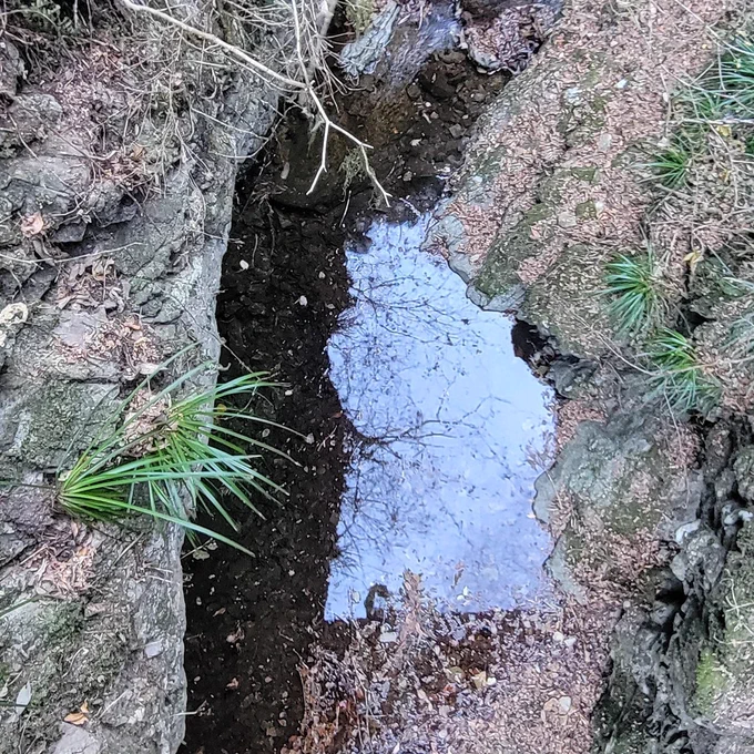 白岩の滝てところに行ってきたかなり風神録みを感じる場所だった 