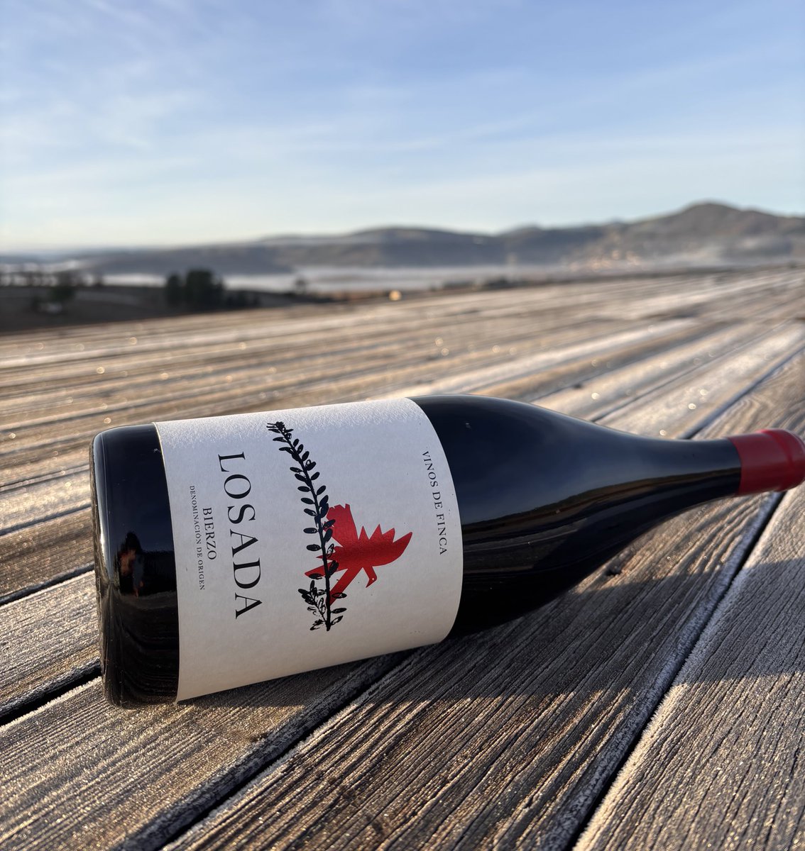 Comenzamos la semana con una postal inolvidable desde la terraza superior de Losada. -3° con el suelo helado bajo nuestros pies y el sol radiante, el lunes se transforma en magia pura. 🍷❄️☀️ #LosadaMágnum #MomentosÚnicos #LunesDeEncanto"