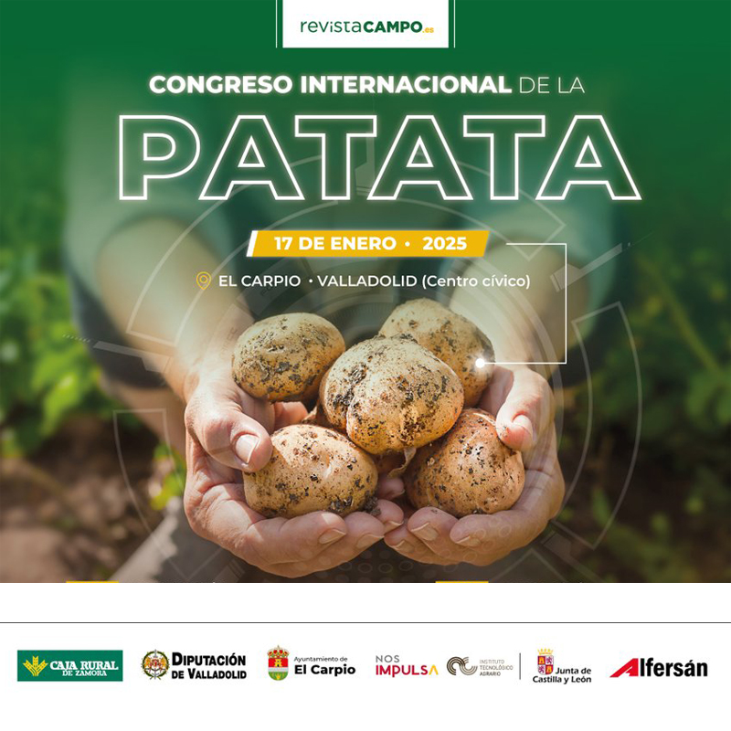 📌 Congreso Internacional de la Patata organizado por <a href="/Revistacampo_/">Revista CAMPO</a>
Contará con un Espacio Expositivo d Maquinaria y Servicios

🗓️ Viernes 17 d enero
📍 El Carpio - #Valladolid

➕ Info⤵️
n9.cl/k52st

#FeriaDeLaPatata <a href="/cajaruralzamora/">cajaruralzamora</a> <a href="/Dip_Va/">Diputación de Valladolid</a> <a href="/ITACYL/">Innovación agroalimentaria - JCyL</a> <a href="/jcyl/">Junta de Castilla y León</a> <a href="/AlfersanM/">Alfersan - Maquinaria Agrícola</a>