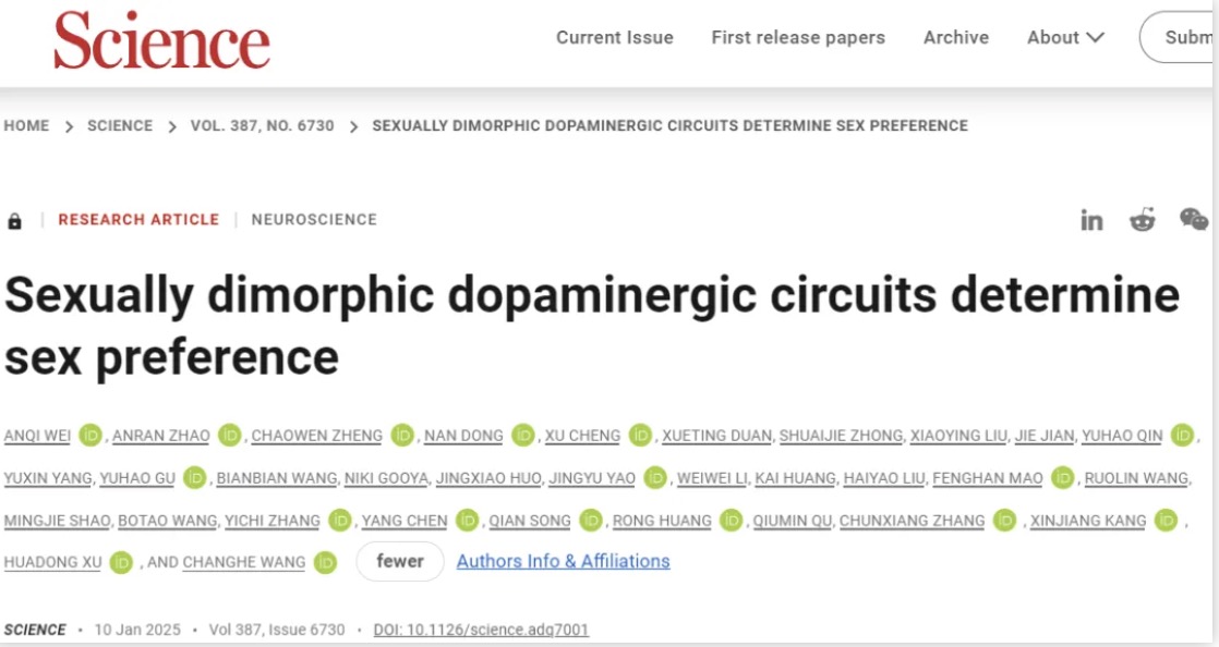 Research Published in Science: Both Men and Women Prefer Socializing with Women
On January 10, a study published in Science reveals that both male and female mice exhibit a preference for females. However, under survival threats, their preference shifts toward males.