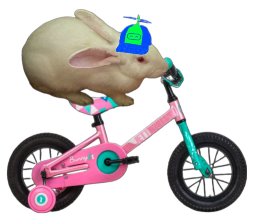ahlllen's tweet photo. If you’re a member of @switchboardxyz community, then you have heard the tale of Tony, the cycling rabbit. https://t.co/yQNXCJqMrN