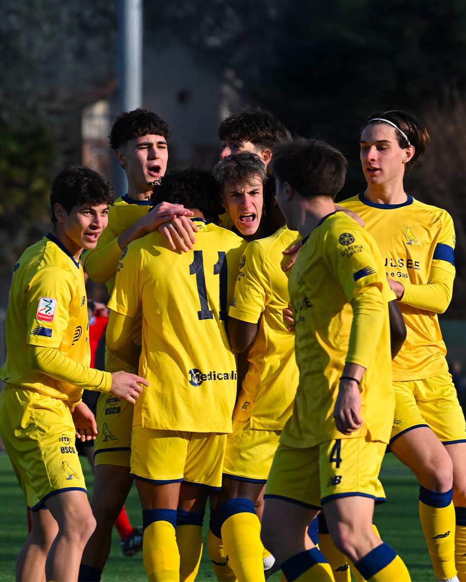 David Rodríguez tweet media