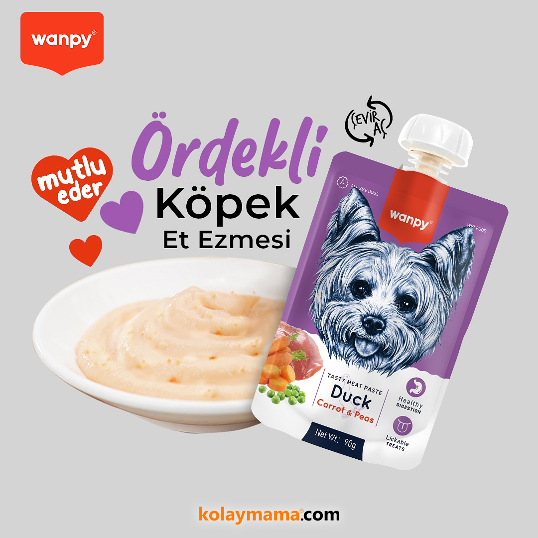 kolaymama's tweet photo. Bir köpeğin kalbini kazanmanın en kolay yolu Wanpy® 🫰🏻

Ördekli Köpek Et Ezmesi 💁🏻‍♀️

🪻 Güvenli, lezzetli, sağlıklı

🪻 Vitamin dolu

🪻 Sağlıklı sindirim desteği

🪻 Çevir-Aç kapak

Tıkla Keşfet: https://t.co/9JHabdNTDn

#kolaymama #kolaymamacom #wanpy https://t.co/5hzWCS2bUM