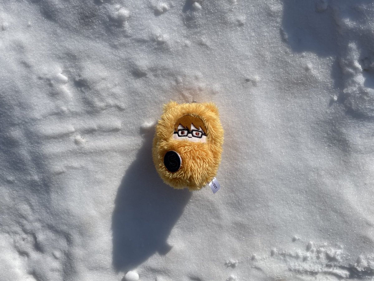 이제야햇다 눈 위에 돈까스차리기,,