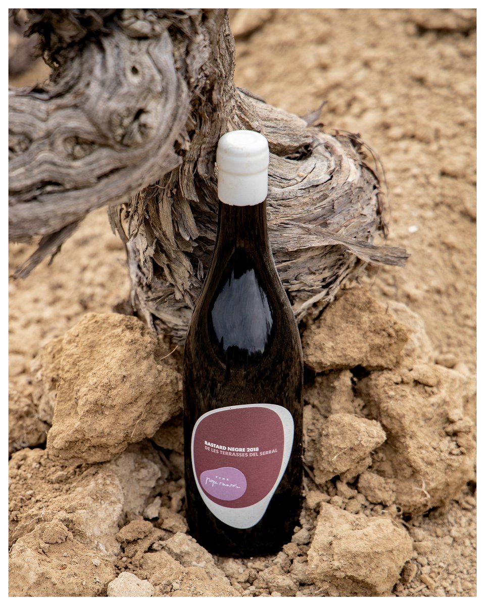 Vins Pepe Raventós tweet media