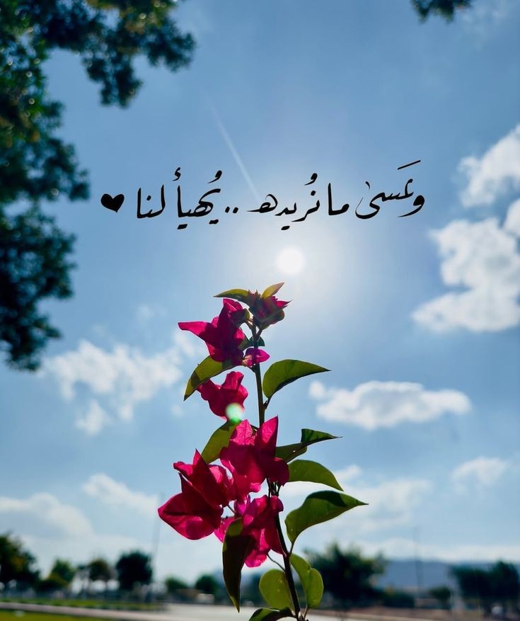 يَأْتِ بِهَا اللَّهُ🤍..